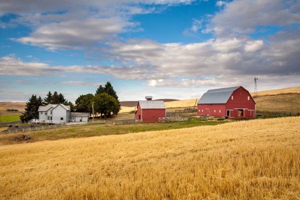 How Should the Family Farm Legacy Be Handled?